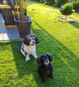 Bild von Leo und Flip