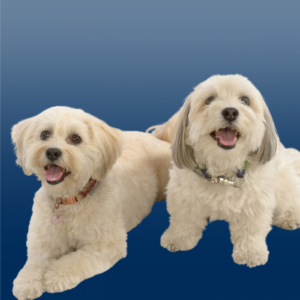 Bild von Marley und Lana