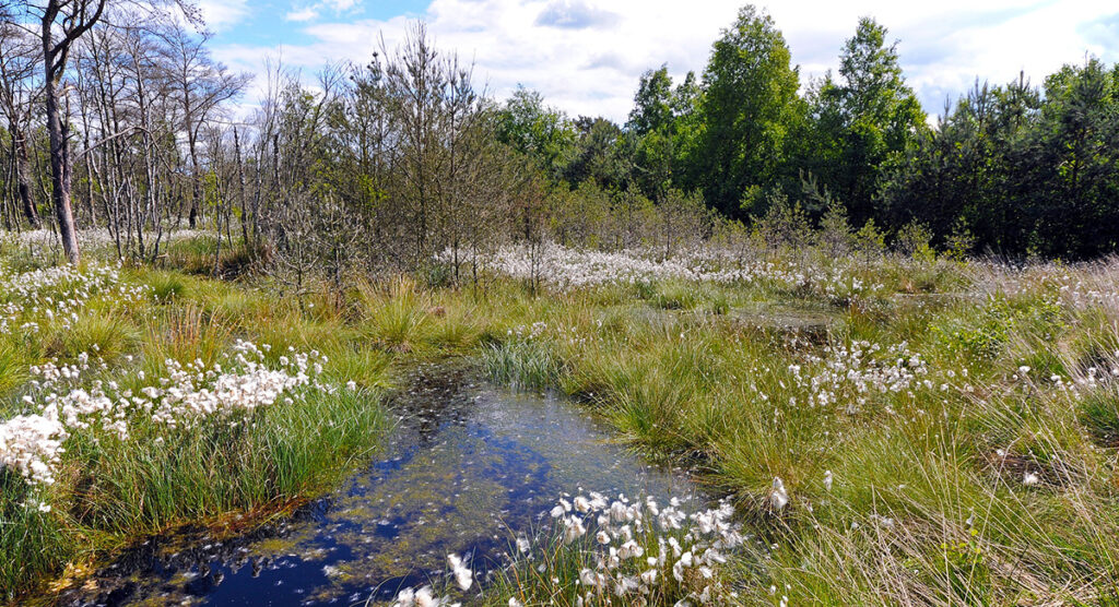 Personal Service PSH Diepholz