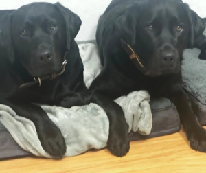 Bild von Marley & Cuba 